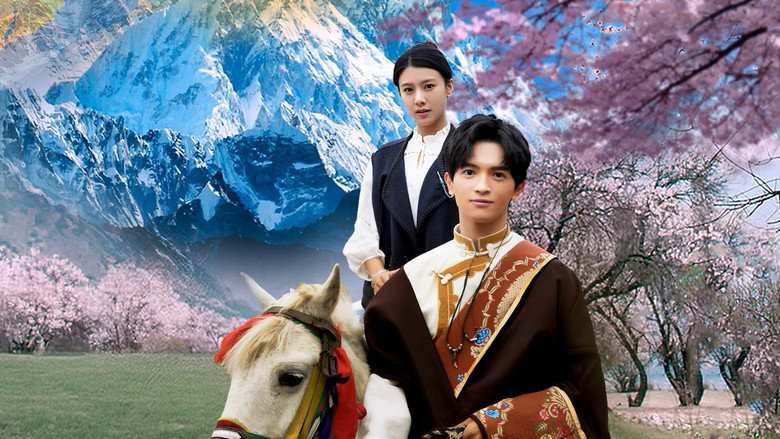 Nơi Hoa Đào Nở Rộ 2025 Vietsub, Finding Home In Blossoms Vietsub, Xem phim Nơi Hoa Đào Nở Rộ Thuyết Minh, Finding Home In Blossoms 2025 Full HD, Phim ngắn Trung Quốc Nơi Hoa Đào Nở Rộ, Xem Finding Home In Blossoms online, Phim Trung Quốc về Tây Tạng 2025, Phim chữa lành Trung Quốc hay, Phim về tình thân và hành trình tìm cội nguồn, Nơi Hoa Đào Nở Rộ Thuyết Minh HD, Review phim Finding Home In Blossoms, Phim ngắn Trung Quốc cảm động 2025, Phim quay tại Lâm Chi Tây Tạng, Xem phim Finding Home In Blossoms Vietsub miễn phí, Phim Trung Quốc tâm lý gia đình 2025, Phim chữa lành, Phim Trung Quốc chữa lành, Phim chữa lành tuổi học trò hay nhất, Phim Người Tình Chữa Lành diễn viên, Phim chữa lành Trung Quốc 2026, Phim mang chủ đề chữa lành, Phim Trung Quốc chữa lành hay 2026, Phim bộ Trung Quốc, Phim bộ Trung Quốc 2025, Lanka Tengjie, Zhu Ya, Dai Wenjun, Wang Hanbang