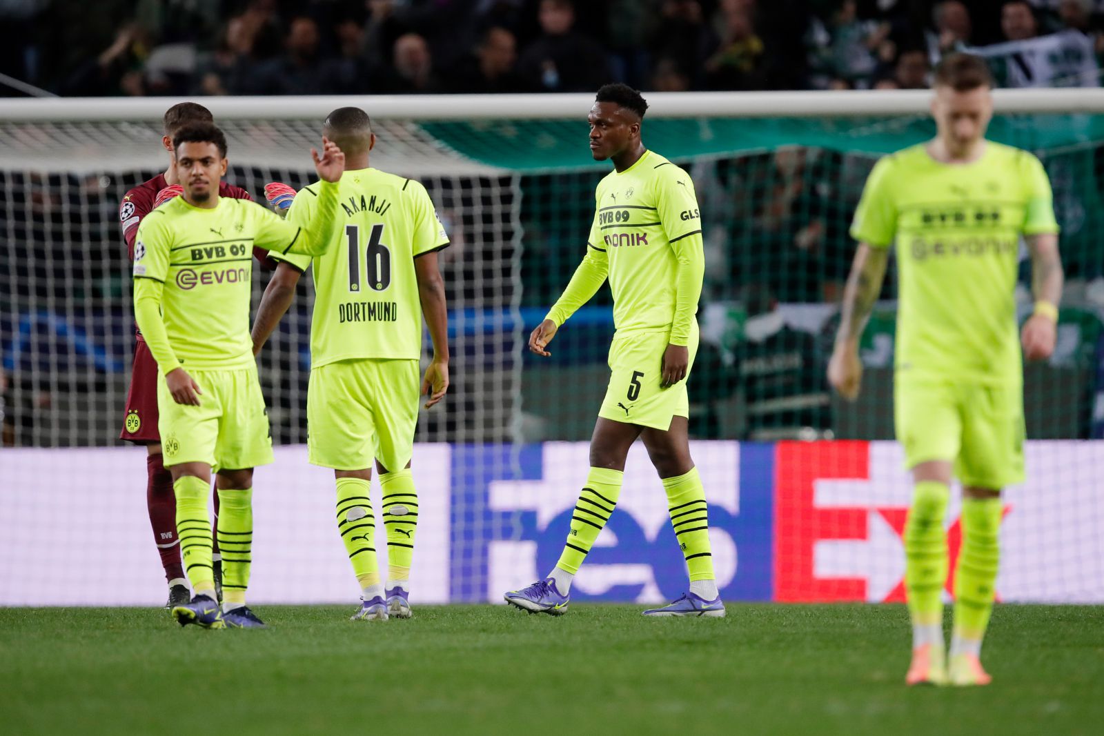 Football Full Highlight, Football Full Goals Highlight, Champions League Full Goals Highlight, Video Sporting 3-1 Borussia Dortmund 2021.11.24 Highlight Extended, Clip Sporting 3-1 Borussia Dortmund 2021.11.24 Highlight Extended, Watch Sporting 3-1 Borussia Dortmund Highlight Extended, Sporting Full Goals Highight, Sporting Braga Full Goals Highlight, Borussia Dortmund Full Goals Highlight